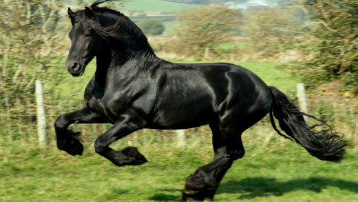 1385989 (a): :1920x1080